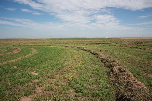 Property photo 104 - LAND AUCTION, 3255+/- Acres offered in 13 Tracts